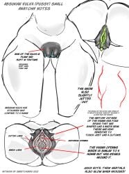 2022 absukian anatomy anthro aquatic ass biped blue_vulva dated digital_media_(artwork) english_text female fish genitals green_vulva hi_res hybrid inner_labia notes nude shark simple_background sweet_chubbs text urethra vulva
