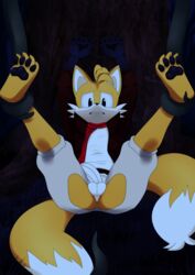 2020 anthro canid canine clothing digital_media_(artwork) fox fur genitals hi_res humanoid male male_only mammal penis skyeprower solo sonic_(series) sonic_the_hedgehog_(series) tails tentacle