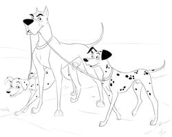 101_dalmatians 2020 absurd_res animal_genitalia balls black_and_white blush canid canine canis collar dalmatian danny_(101_dalmatians) disney dog_walking domestic_dog female feral genitals great_dane group hi_res leash male mammal mastiff molosser monochrome penis perdita pongo sheath torinsangel