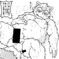 2019 anthro balls belly blush bodily_fluids canid canine censored genitals hi_res humanoid_hands japanese_text kemono lv_l male male_only mammal moobs overweight overweight_male raccoon_dog sengoku_puzzle shadow_ieyasu solo sweat tanuki text video_games