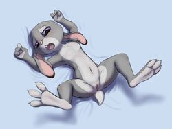 2020 3_toes 4_fingers anthro blue_background blush bodily_fluids buckteeth claws countershade_feet countershading disney ears_down female fingers flat_chest flat_chested foot_focus fur furry furry_only genital_fluids genitals grey_body grey_fur hi_res judy_hopps lagomorph legs_up leporid long_ears lying mammal multicolored_body multicolored_fur navel nipples nude on_back open_mouth paws pink_nose pivoted_ears purple_eyes pussy pussy_juice rabbit shadow simple_background slowderpyguy soles solo spread_legs spread_toes spreading tail teeth toe_claws toes two_tone_body two_tone_fur zootopia