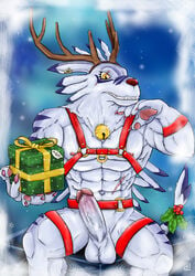 anthro christmas digimon digimon_(species) gdrzhuowolf genitals hi_res holidays humanoid_genitalia humanoid_penis male male_only penis solo weregarurumon