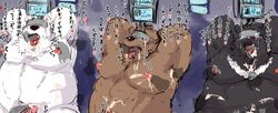 2019 anthro belly black_body black_fur brown_body brown_fur fur genitals group heart japanese_text male male_only mammal moobs nipples overweight overweight_male penis polar_bear text tongue tongue_out ursid ursine white_body white_fur yuuya333