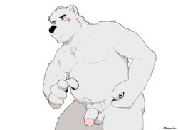 2020 anthro balls belly blush flaccid fur genitals hagom hi_res humanoid_genitalia humanoid_hands humanoid_penis kemono male male_only mammal moobs nude overweight overweight_male penis polar_bear simple_background solo ursid ursine white_background white_body white_fur