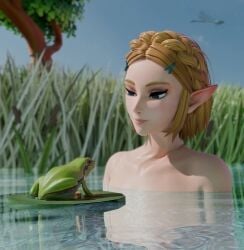 3d blender blonde_hair dragonfly frog fully_nude grass nature nude outside pointy_ears sky smile smiling trees underwater zelda_(breath_of_the_wild)