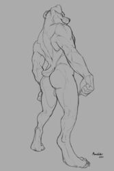 1boy 2020 ass back_muscles backsack balls canid canine canis claws domestic_dog genitals low-angle_view male male_only mammal mastiff molosser monochrome muscular muscular_male nude paws pose richard_foley rottweiler solo solo_male standing worm's-eye_view