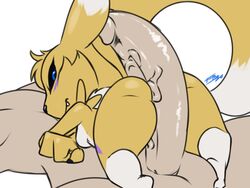 Digimon (Species) Rule 34 Image