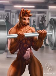 anthro barbell bicep_curl canid canine canis erection genitals gym hi_res huskyfog knot looking_at_viewer male male_only mammal muscular muscular_male penis solo wolf