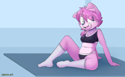 exercise exercise_clothing exercise_mat furry furry_female jaynoe_(artist) looking_at_viewer sitting smiling