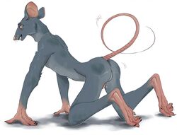 anthro ass balls blush fur genitals grey_body grey_fur male male_only mammal murid murine penis rat rodent skiffkhariben solo