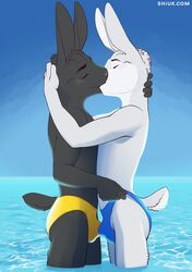 2020 absurd_res anthro anthro_on_anthro blue_clothing blush bulge bulge_frottage clear_sky closed_eyes clothed clothing duo frottage fur grey_body grey_fur hand_on_head hi_res hug kissing lagomorph leporid light_fur male male/male mammal partially_submerged rabbit sea sex shiuk slim speedo swimsuit_pull swimwear text topless underwear underwear_pull url water white_body white_fur yellow_clothing