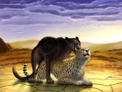 2020 4:3 ambiguous_gender ambiguous_penetrated anal anal_sex black_body black_fur black_spots blue_eyes brown_body brown_fur cheepard cheepard_(character) cheetah detailed detailed_background digital_media_(artwork) duo felid feline feral from_behind_position fur hi_res male male/ambiguous male/male male_on_bottom male_on_top male_penetrated mammal melanistic on_bottom on_top penetration revad_(hotwert) sex spots yellow_body yellow_eyes yellow_fur