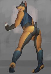 1boy 2020 anthro anus ass balls black_body black_fur black_nose brown_body brown_fur canid canine canis clothing dar-kuu digital_media_(artwork) digitigrade dobermann domestic_dog fur genitals hi_res legwear looking_at_viewer male male_only mammal nude open_mouth perineum pinscher simple_background solo solo_male