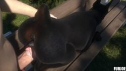 3d animated bench bestiality big_penis canine doberman dog doggy_style faceless_male female female_feral female_focus feral feral_penetrated from_behind furjoe hand_on_hip human human_on_feral human_penetrating_feral interspecies male_human/female_feral male_on_feral mammal no_sound outdoor_sex outdoors outside penile_penetration pussy_grip quadruped sex solo_focus tagme vaginal_penetration video zoophilia