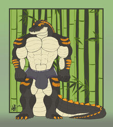 1boy 2020 abs absurd_res anthro big_bulge black_body bulge claws crocodile crocodilian crocodylid detailed_background gradient_background green_background hi_res long_tail looking_aside male male_only markings muscular orange_claws psixoy reptile scalie signature simple_background solo_male standing styx_(wolfarion) thick_tail white_body wolfarion yellow_eyes