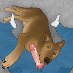 1:1 bodily_fluids bottomwear brown_body brown_fur canid canine canis clothing cum denim denim_bottomwear denim_clothing domestic_dog duo eye_contact fellatio feral footwear fur genital_fluids genitals german_shepherd head_on_lap herding_dog hi_res human human_on_feral humanoid_genitalia humanoid_penis interspecies jeans licking_cum looking_at_another lying_on_ground maklykan male male_on_feral mammal on_ground on_lap oral orange_eyes pants pastoral_dog penile penis realistic_feral sex sitting sitting_on_ground socks tongue tongue_out zoophilia