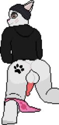 anthro ass balls beanie blush clothing d3f4ul7 digital_media_(artwork) felid feline footprint genitals hat headgear headwear hi_res hoodie jumper male male_only mammal panties pawprint pixel pixel_art presenting presenting_hindquarters solo someguyoftheweb topwear transparent_background underwear