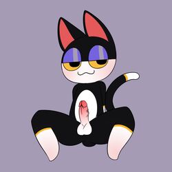 9x9_nsfw :3 absurd_res animal_crossing anthro balls bedroom_eyes blush chibi domestic_cat erection felid feline felis genitals hi_res humanoid_genitalia humanoid_penis male male_only mammal narrowed_eyes nintendo nude penis punchy_(animal_crossing) seductive solo vein veiny_penis video_games