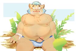 2020 absurd_res anthro belly blush bodily_fluids brown_body brown_fur bulge erection fur genitals gouryou hi_res humanoid_genitalia humanoid_hands humanoid_penis kemono male male_only mammal marusuke moobs nipples overweight overweight_male penis pubes sitting solo suid suina sus_(pig) sweat tokyo_afterschool_summoners video_games wild_boar