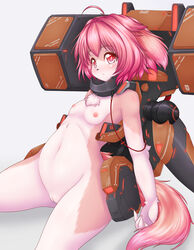 absurd_res anthro breasts canid canine canis chest_tuft domestic_dog female flat_chested genitals hair hi_res kemono mammal nipples nude pink_eyes pink_hair pussy small_breasts solo syrup_(artist) tuft wide_hips