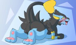 1boy 2020 animal_genitalia anus ass big_ass black_body black_fur blush digital_media_(artwork) feral fur furry half-closed_eyes heart_tail hi_res looking_at_viewer luxray male male_only multicolored_body multicolored_fur nintendo open_mouth pawpads paws pokémon_(species) pokemon pokemon_(species) pokemon_dppt presenting sallandril sheath simple_background smile solo testicles thick_thighs toes tongue tongue_out video_games wide_hips