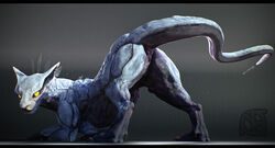 3d alien animal_genitalia anus arkkin ass bent_over biceps blue_body blue_skin claws cloaca cosmiclife dragon drake_(disambiguation) feet female flat_chested genitals hybrid looking_at_viewer looking_back muscular paws pinup pose presenting presenting_anus presenting_hindquarters presenting_pussy pussy raised_tail scalie semi-anthro solo standing yellow_eyes