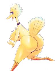 anthro avian big_bird bird female sesame_street sqoon tagme