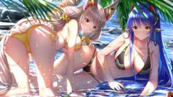 2girls all_fours android animal_ear_fluff animal_ears ass bangs bikini black_bikini blue_hair blurry blurry_foreground blush breasts cleavage closed_mouth commentary_request day depth_of_field eyebrows_visible_through_hair gluteal_fold grey_hair hair_between_eyes hair_ornament hair_scrunchie headgear highres large_breasts long_hair looking_at_viewer lying multiple_girls navel nia_(blade) nia_(xenoblade) nintendo older on_side outdoors palm_tree poppi_(xenoblade) poppi_qtpi_(xenoblade) robot_ears scrunchie shallow_water side-tie_bikini smile sunlight swimsuit swordsouls thigh_gap tree very_long_hair water xenoblade_(series) xenoblade_chronicles_2 yellow_bikini yellow_eyes yellow_scrunchie