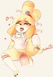 1boy 1girls ahe_gao animal_crossing animal_ears anthro asekeu bottomless canine dog_ears dog_humanoid furry isabelle_(animal_crossing) nintendo pussy tongue_out vaginal_penetration yellow_fur