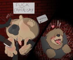 4_toes absurd_res ahegao anal anal_penetration anthro anus backsack balls bear big_butt blush bodily_fluids brick brick_wall brush butt butt_slap dripping ear_piercing ear_ring ejaculation feet from_behind_position genital_fluids genitals group hair hair_over_eyes hairbrush heart_beating heart_symbol hi_res leaking_precum looking_pleasured male male/male mammal overstimulation paws penetration penis piercing politics precum precum_drip profanity public public_sex restraints ring_piercing sex sex_toy sign slap solo spanking stocks stuck tears teddy_(teddypaws) teddypaws text through_wall tickle_torture tickling toes toothbrush trophy_head vibrator wall_(structure)