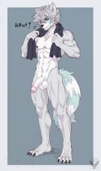 abs akaro_(lukiro) anthro balls canid canine canis dialogue english_text erection facial_piercing foreskin fur genitals grey_body grey_fur grey_hair hair half-closed_eyes hi_res humanoid_genitalia humanoid_penis hybrid lip_piercing lukiro male mammal markings multicolored_body multicolored_fur muscle_tone muscular muscular_anthro muscular_male narrowed_eyes nude pecs penis piercing procyonid raccoon snakebite_piercing solo striped_markings striped_tail stripes stud_piercing tail tail_markings text towel towel_around_neck two_tone_body two_tone_fur vein veiny_penis white_body white_fur wolf
