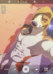 1boy 2017 abs anthro areola basset_hound biceps biped black_nose blue_text brown_body brown_eyes brown_fur camera_view canid canine canis cellphone chicobo dated detailed_background domestic_dog ear_piercing english_text flaccid floppy_ears foreskin front_view fur genitals half-closed_eyes high-angle_view holding_object hunting_dog inside locker locker_room looking_at_viewer male male_only mammal multicolored_body multicolored_fur muscular muscular_male narrowed_eyes navel nipple_piercing nipples nude number obliques pecs penis phan-phan_(anhes) phone piercing pink_areola pink_nipples scent_hound selfie small_tail smartphone smile solo solo_male spots spotted_body spotted_fur standing text three-quarter_view tuft uncut url vein veiny_penis watermark whiskers white_body white_fur white_penis white_text