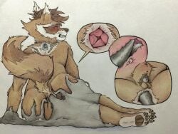 1boy anal anal_penetration anthro balls brown_body brown_fur bug_eater chastity_cage chastity_device claws fur genitals guardians_of_the_galaxy hair hi_res humanoid_genitalia internal male male_only mammal marvel marvel_rivals nude pawpads paws penetration penis procyonid pubes raccoon rocket_raccoon slim solo solo_male tail toe_claws traditional_media_(artwork) venom_(marvel)