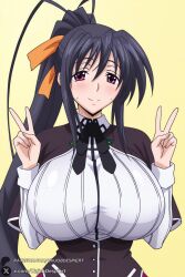 akeno himejima from high school dxd by unjobdespiert