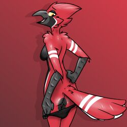 1:1 anthro avian beak bird breasts butt clothed clothing clothing_pull digital_media_(artwork) feathers female genitals hi_res looking_back nude open_beak open_mouth panties panties_down panties_only panty_pull partially_clothed rose_(ryofox630) ryofox630 simple_background smile solo standing tail tail_feathers topless underwear underwear_down underwear_only underwear_pull vulva