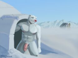 2020 4:3 anthro being_watched binoculars exhibitionism fur genitals humanoid humanoid_genitalia humanoid_penis igloo looking_at_another male male_only mammal mountain nude otterboxed painting penis polar_bear snow solo tent ursid ursine white_body white_fur