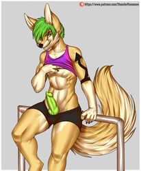 animal_genitalia animal_penis anthro athletic athletic_male bottomwear canid canine canine_penis clothing fennec fox fur genitals green_eyes green_hair green_penis hair knot leaning looking_at_viewer male male_only mammal patreon penis shirt shorts smile solo standing tan_body tan_fur tank_top tattoo thunder-renamon topwear ziggy_zerda