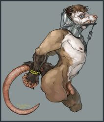 absurd_res animal_humanoid anthro blue_border bondage bondage_gear border bound collar collar_only didelphid genitals hands_tied hi_res humanoid male male_only mammal mammal_humanoid marsupial penis priscillasheep solo uncut