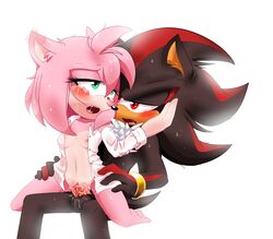 amy rose from sonic (series) by shadic80