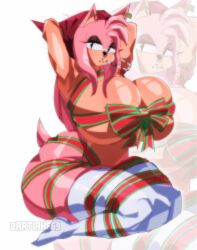 amy rose from sonic (series) by fleshpie669