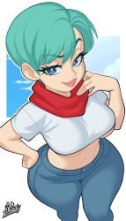 bulma briefs from dragon ball by srbready