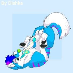 1:1 animal_genitalia animal_penis animated anus balls bodily_fluids canid canine canine_genitalia canine_penis canis digital_media_(artwork) dishka domestic_dog drinking drinking_urine feet feral fingers fur genital_fluids genitals hi_res husky lipsticking male mammal nordic_sled_dog open_mouth pawpads peeing peeing_in_mouth peeing_on_self penis penis_tip sheath simple_background smile solo spitz spread_legs spreading tail teeth toes tongue tongue_out urine urine_in_mouth urine_on_self urine_stream watersports