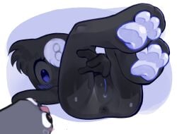 8-ball anus blue_pussy butt butthole colored_pussy cub dandy's_world deadtoons domestic_dog feral infantilette laying_on_back non-human object object_head paws pebble_(dandy's_world) pussy rock self_upload toodles_(dandy's_world) young