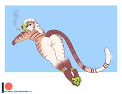 2020 anthro anus ass blue_background cigarette felid female furry genitals green_anus green_pawpads green_pussy mammal pantherine pawpads pussy simple_background sketch smoking solo text tiger url wolfpsalm