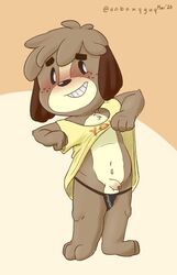 animal_crossing anthro balls canid canine canis clothed clothing clothing_lift digby_(animal_crossing) domestic_dog genitals hi_res humanoid_genitalia humanoid_penis male male_only mammal nintendo penis shirt shirt_lift solo topwear unboxyguy uncut video_games