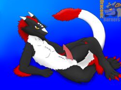 azyn black_body black_fur draconic_burners erection fur genitals hair hi_res looking_at_viewer lying male male_only penis red_hair sergal solo white_body white_fur