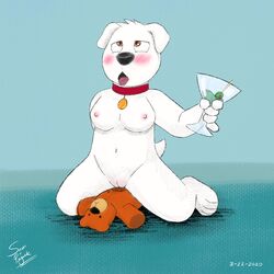 1:1 breasts brian_griffin canid canine canis domestic_dog family_guy female fur genderswap genitals hi_res mammal pussy samuel_pejack teddy_bear white_body white_fur