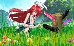 artemisumi big_breasts bunny_costume bunny_ear bunny_ears bunny_girl bunny_tail bunnysuit commission dildo easter easter_bunny easter_egg easter_eggs fellatio grassland high_school_dxd oral red_hair rias_gremory sex_toy sex_toys