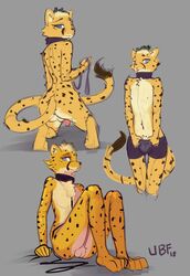 2018 anthro ass balls blue_eyes bulge cheetah clothing collar collar_only felid feline genitals grey_background hair hi_res leash looking_at_viewer male male_only mammal penis sheetah simple_background sitting smile solo ultrabondagefairy underwear