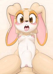 1girls 2020 2020s 20s animal_ears anthro anthrofied breasts brown_eyes brown_nose buckteeth bunny cream_the_rabbit digital_drawing_(artwork) digital_media_(artwork) duo erect_nipples erection eyelashes female gatomonlover haiiromon inkbunny lagomorph leporid looking_at_viewer male mammal multicolored_fur nude open_mouth penetration penis pussy rabbit sega sex sonic_(series) sonic_advance sonic_advance_2 sonic_team sonic_the_hedgehog_(series) spread_legs stomach_bulge straight tan_fur thick_thighs uncensored vagina vaginal vaginal_insertion vaginal_penetration vaginal_sex video_games white_fur wide_eyed wide_hips young